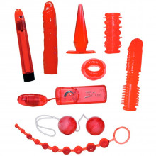 Red Roses Sex Toys Kit de 9 Pièces pour Débutant·e·s  1